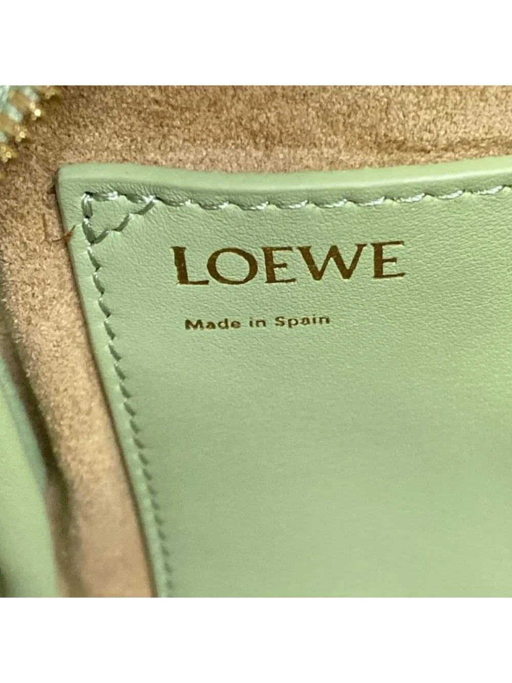Loewe Handbag Amazona 16 Square Light Green